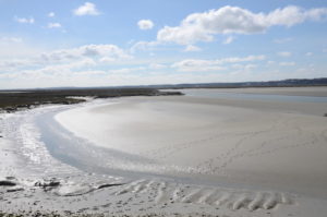 disponibilite appartement baie de somme
